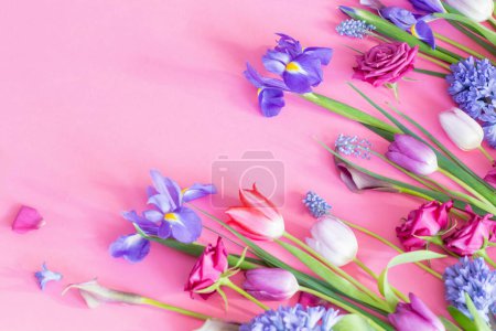 Foto de Hermosas flores de primavera sobre fondo de papel rosa - Imagen libre de derechos