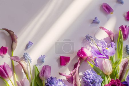 Photo for Beautiful spring flowers on white background - Royalty Free Image