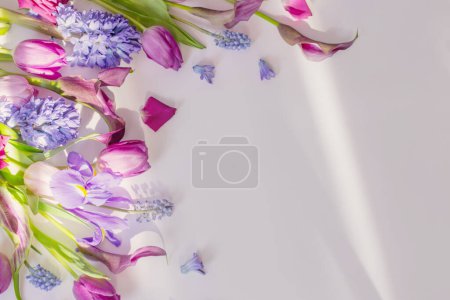 Photo for Beautiful spring flowers on white background - Royalty Free Image