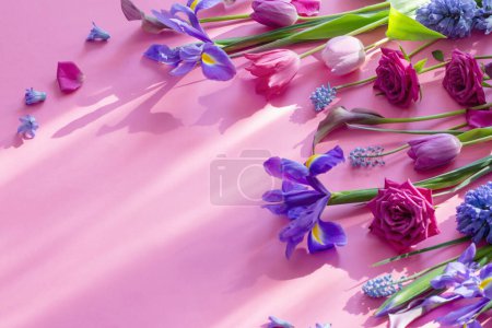 Photo for Beautiful spring flowers on pink paper background - Royalty Free Image