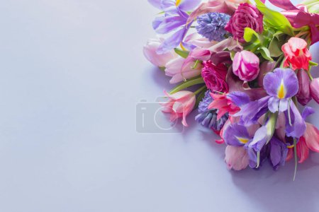 Téléchargez les photos : Belles fleurs de printemps sur fond de papier violet - en image libre de droit