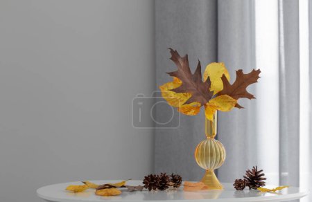 Photo for Autumn leaves in glass vase in modern interior - Royalty Free Image