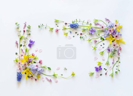 Téléchargez les photos : Fleurs sauvages de printemps sur fond de papier blanc - en image libre de droit