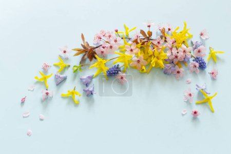 Photo for Spring flowers on blue paper background - Royalty Free Image