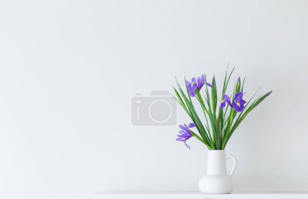 Téléchargez les photos : Iris en cruche blanche sur fond blanc - en image libre de droit