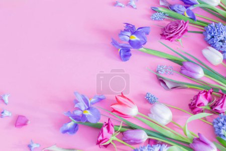 Téléchargez les photos : Belles fleurs printanières sur fond de papier rose - en image libre de droit