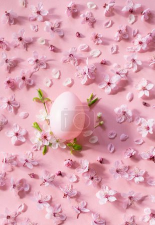 Photo for Easter egg with cherry flowers on pink background - Royalty Free Image