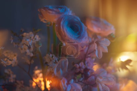 Téléchargez les photos : Fleurs de printemps fermer dans la lumière de couleur - en image libre de droit