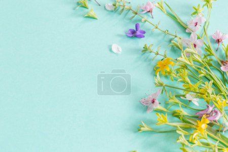 Photo for Wild spring flowers on paper background - Royalty Free Image