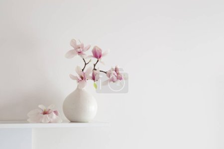 Foto de Magnolia flores en jarrón en fondo blanco - Imagen libre de derechos