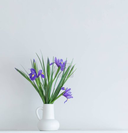 Téléchargez les photos : Iris en cruche blanche sur fond blanc - en image libre de droit