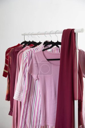 Téléchargez les photos : Vêtements pour femmes en rose et bordeaux couleurs tendance sur un cintre - en image libre de droit