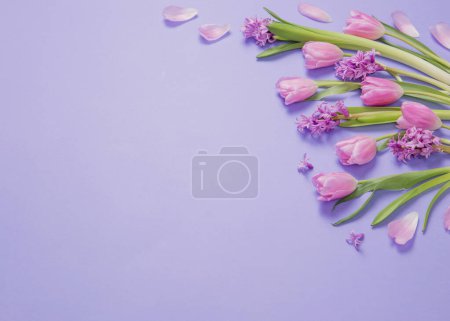 Téléchargez les photos : Fleurs de printemps sur fond de papier violet - en image libre de droit