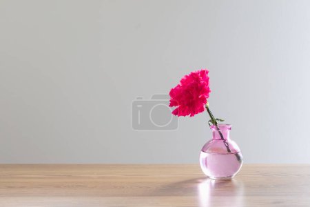 Foto de Clavel rosa en jarrón de cristal sobre fondo blanco - Imagen libre de derechos