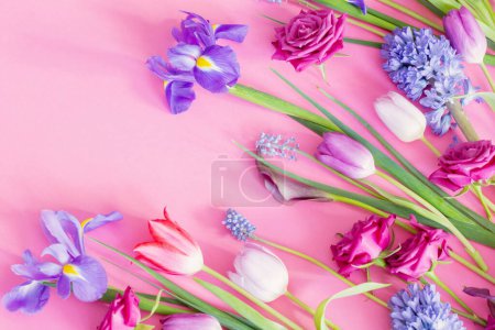 Téléchargez les photos : Belles fleurs printanières sur fond de papier rose - en image libre de droit