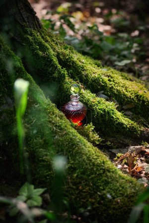 Téléchargez les photos : Potion magique en bouteille de verre dans la forêt d'été - en image libre de droit