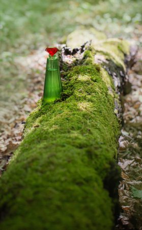 potion magique en bouteille de verre dans la forêt d'été