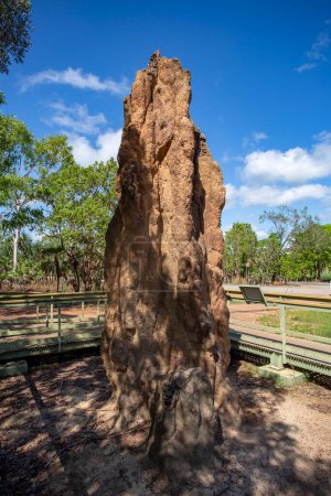 Téléchargez les photos : Cathédrale de Litchfield Termite (Nasutitermes triodiae) Monticules, construit en forêt de savane ouverte - en image libre de droit