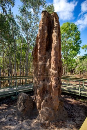 Téléchargez les photos : Cathédrale de Litchfield Termite (Nasutitermes triodiae) Monticules, construit en forêt de savane ouverte - en image libre de droit
