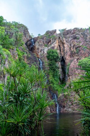 Téléchargez les photos : Wangi Falls est une cascade segmentée dans un bassin profond sur le ruisseau Wangi, situé dans le parc national de Litchfield, Territoire du Nord, Australie - en image libre de droit