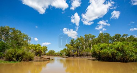 View of the monsoon forest along the banks of the South Alligator River in Kakadu, Northern Territory, Australia