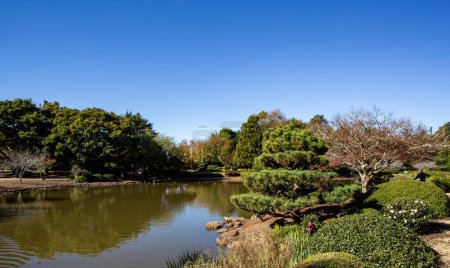 Téléchargez les photos : Le jardin japonais Toowoomba est un jardin botanique créé en 1989 pour les loisirs publics.. - en image libre de droit