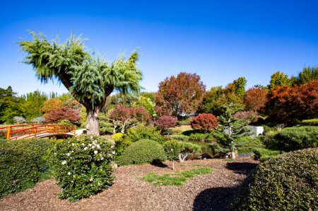 Téléchargez les photos : Le jardin japonais Toowoomba est un jardin botanique créé en 1989 pour les loisirs publics.. - en image libre de droit