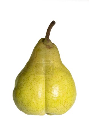 Photo for Pear shape  or pear-shaped literally speaking - Royalty Free Image