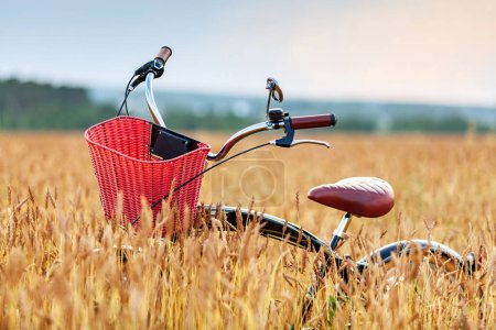 Photo for Bicycle standing in a field among wheat ears - Royalty Free Image