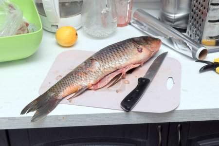 Foto de Carpa de pescado y cuchillo en una mesa de cocina - Imagen libre de derechos