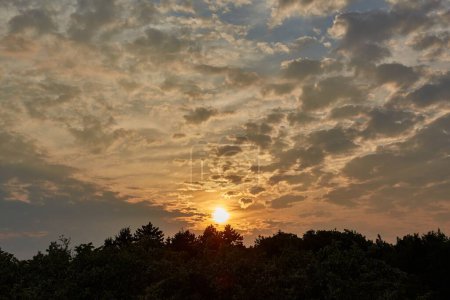 Foto de Puesta de sol en el cielo nublado sobre los árboles - Imagen libre de derechos