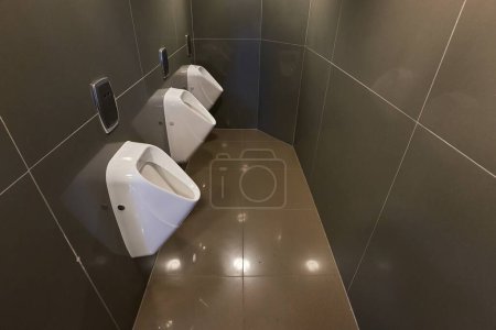 Téléchargez les photos : Beaucoup d'urinoirs dans une toilette, look moderne et propre - en image libre de droit