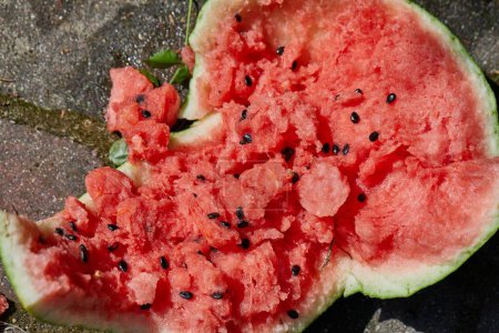 Photo for Smashed watermelon on the ground in pieces - Royalty Free Image