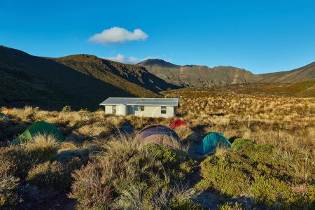 Photo for Campsite with cabin and tents in Tongariro Nation Park, New Zealand. Resting place for great walks Tongariro Alpine Crossing and Northern Circuit - Royalty Free Image