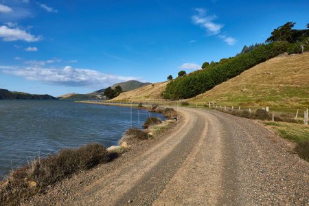 Foto de Conducir por un camino de tierra en las colinas de Nueva Zelanda - Imagen libre de derechos