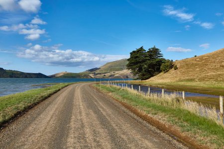 Foto de Conducir por un camino de tierra en las colinas de Nueva Zelanda - Imagen libre de derechos