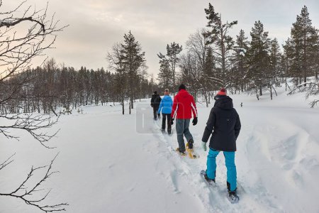Téléchargez les photos : Saariselka, Finlande - 20 février 2022 : Randonnée en raquettes sur des sentiers enneigés d'hiver en Laponie finlandaise, au-delà du cercle arctique. Aventure en raquettes - en image libre de droit