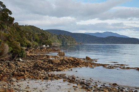 Sandy beach in New Zealand with rocks and forests on the shore. North Arm, Stewart Island