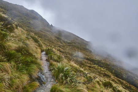 High mountain landscape along the Routeburn Track, Great Walk hiking trail in New Zealand South Island, foggy weather, clouds passing, low visibility
