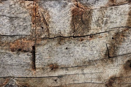 Photo for Old wood texture in rough state, decaying lumber background - Royalty Free Image