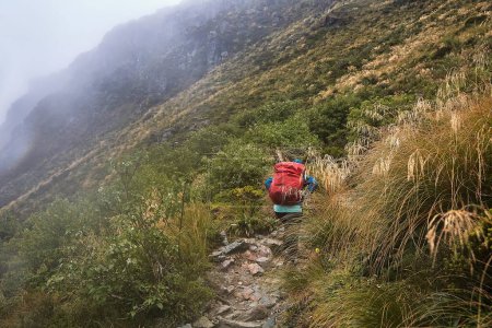 High mountains rainy, landscape along the Routeburn Track, Great Walk hiking trail in New Zealand South Island, female hiker swalking in foggy weather with backpack