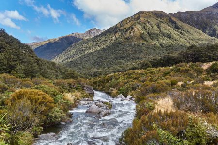 Arthurs pass in New Zealand, river going through the bush landscape of the mountain pass