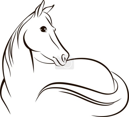 Foto de Hermoso dibujo de línea de caballo. Logo del caballo. Ilustración de vectores blanco y negro. Concepto para logo, tarjeta, banner, póster, volante - Imagen libre de derechos