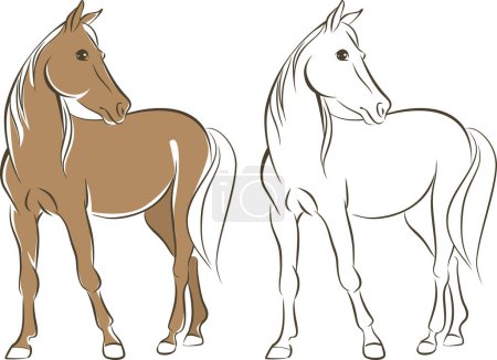 Foto de Hermoso dibujo de línea de caballo. Ilustración simple vector. - Imagen libre de derechos