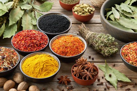 Photo for Bowls of various aromatic spices and herbs. Different seasoning - red hot pepper, paprika, anise, saffron, black seeds, nutmegs, cardamom pods, thyme, gloves, curcuma. Condiments for cooking. - Royalty Free Image