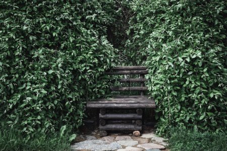 Téléchargez les photos : Banc de jardin en bois vintage dans le feuillage dense vert des arbustes. - en image libre de droit