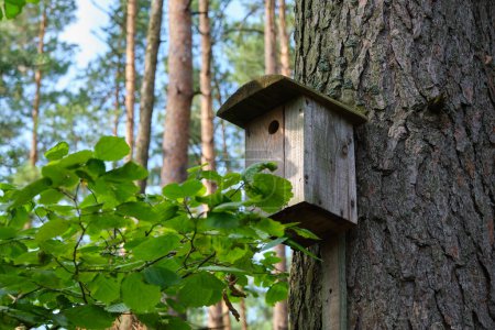 Photo for Bird house on a old tree. Wooden birdhouse, nesting box for songbirds in park or forest. - Royalty Free Image