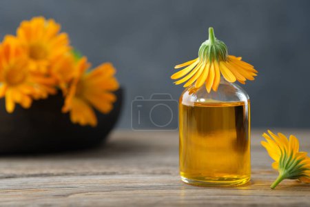 Téléchargez les photos : Bouteille d'huile essentielle de calendula ou infusion et fleurs de souci sur fond. Médecine alternative à base de plantes. - en image libre de droit