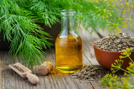 Photo for Bottle of dill seeds oil, bunch of fresh green dill and bowl of dried fennel seeds on wooden board. Alternative herbal medicine. Useful seasoning for cooking. - Royalty Free Image