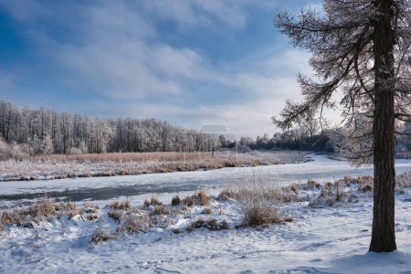 Téléchargez les photos : Beau paysage hivernal enneigé de rivière et de forêt. - en image libre de droit